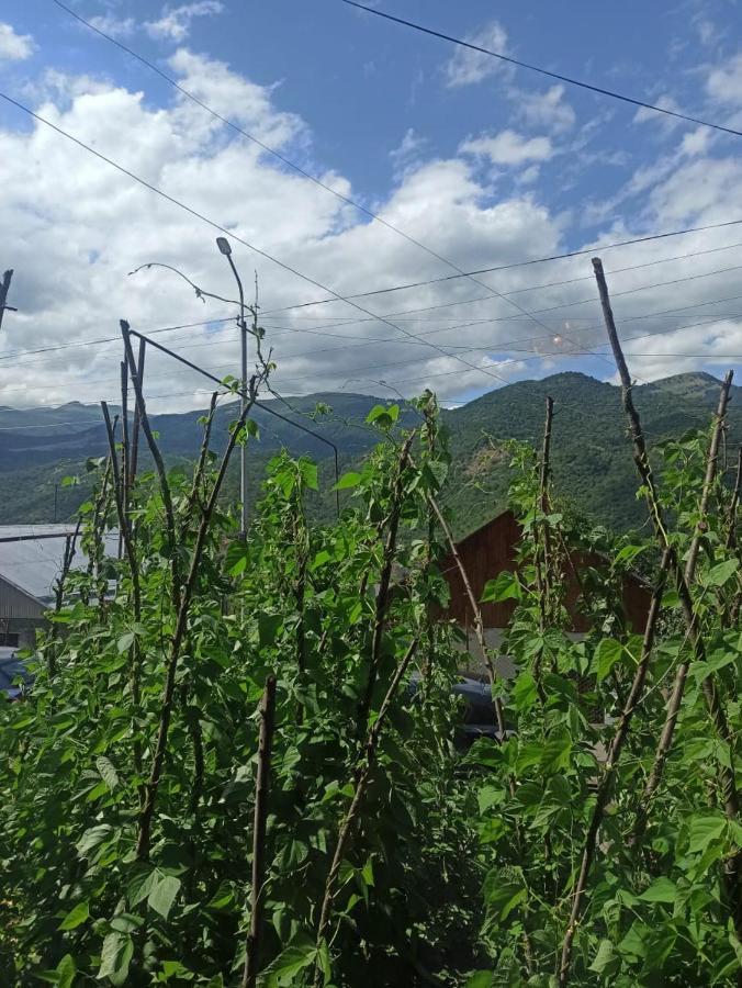 Bbq House Apartment Dilijan Exterior foto